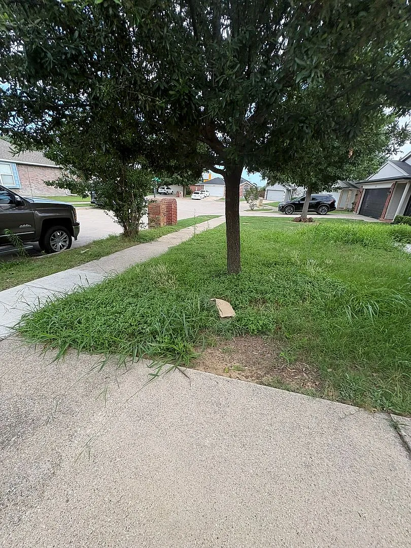 Summerfield Area Ft Worth Home — Photo 3