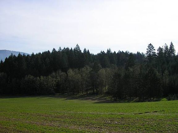 looking North , timbered elevation is subject property