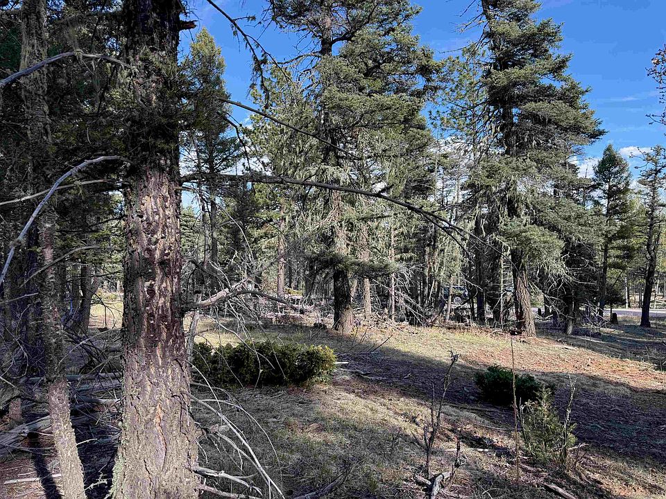 2nd image of Lot 105 Calle de los Indios