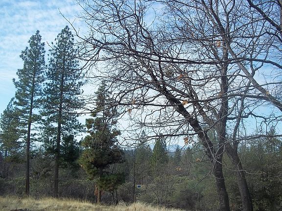 2nd image of Seaman Gulch Apn #97-120-013