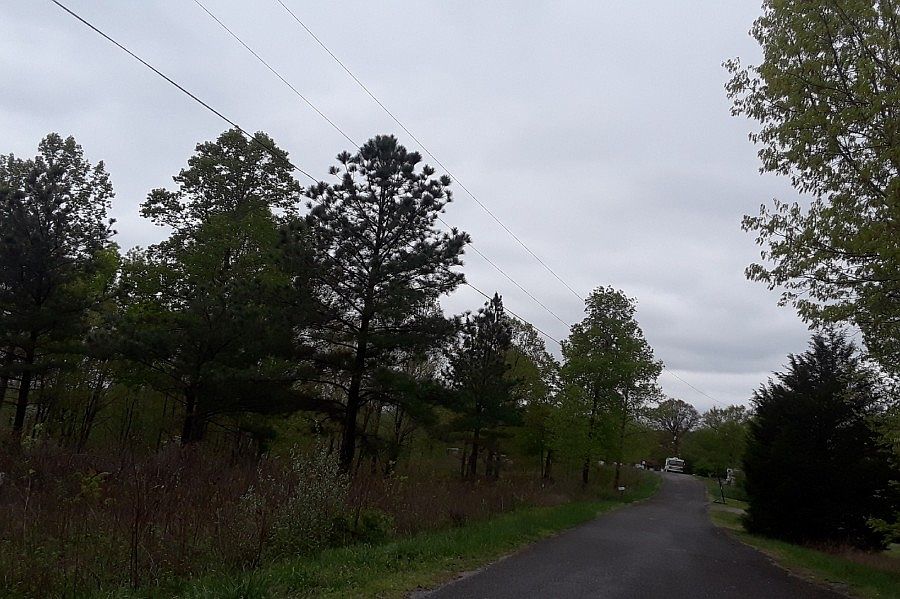 2nd image of 1008 Buckeye Rd