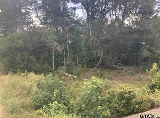 19118 N High Way #155, Winona, TX 75792