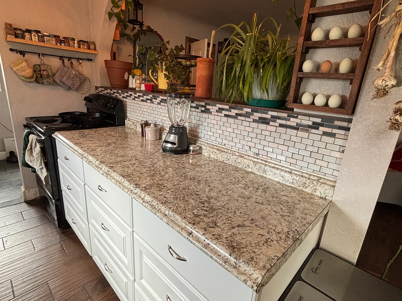 2 bed, 723 sqft, $2,100 — Photo 3