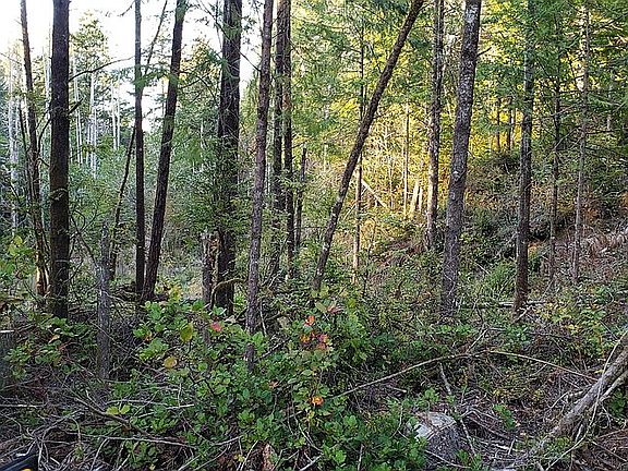 4th image of 0 Wildwood Dr #1300