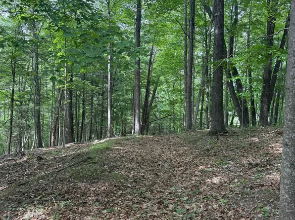 0 Blue Grass Trl, Newport, VA 24128