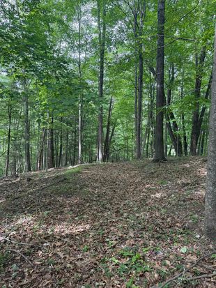 0 Blue Grass Trl, Newport, VA 24128