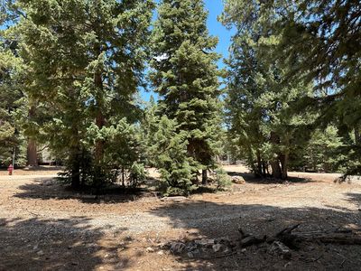 530 E Forest Dr, Duck Creek Village, UT, 84762