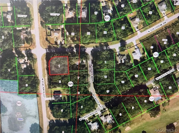9198 N Golfview Dr, Citrus Springs, FL 34434
