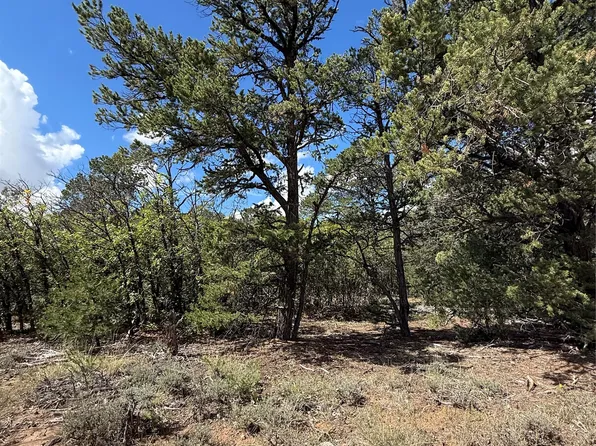 LOT 180 181 #223, Regina, NM 87046