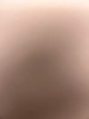 Rented by Minotaur Management | media 5