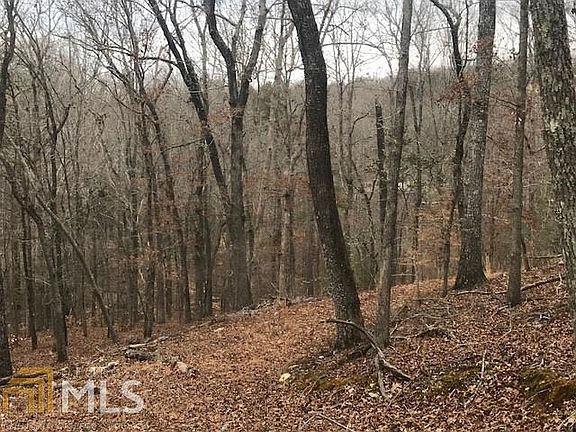 3rd image of 4524 Shoreline Dr