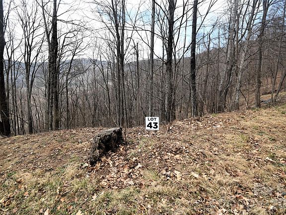 2nd image of 43 Marble Stone Dr