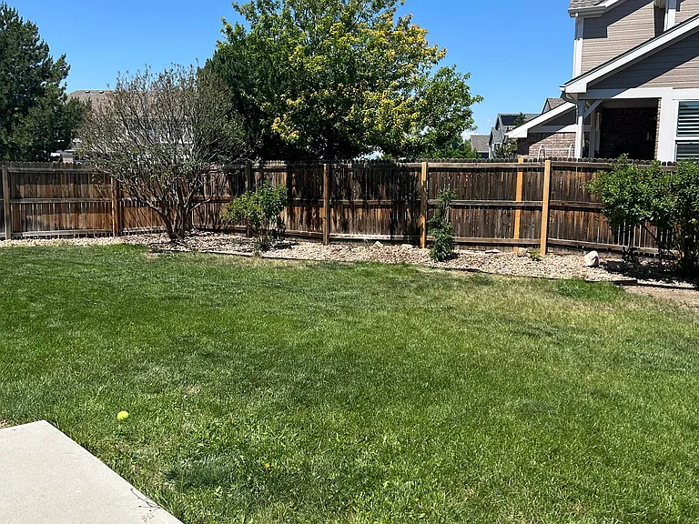 Generous backyard