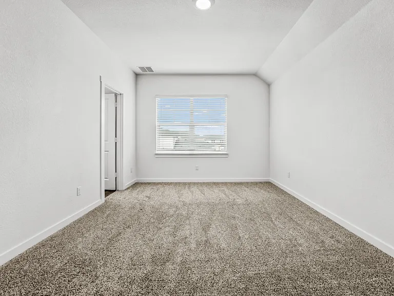 2505 Liam Aurora Ln — Photo 17