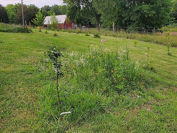 4th image of 270 Rodney Clark Rd