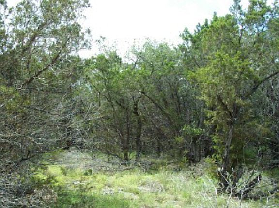 5th image of 1462 Hilltop Oaks