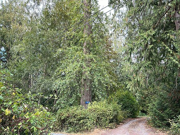 2nd image of 11423 Earle Dr