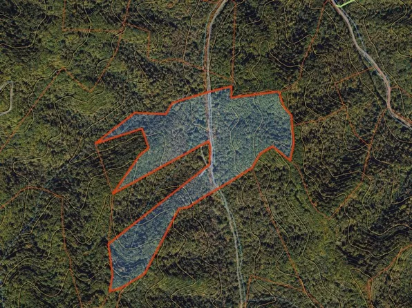 0 Martins Crk, Naoma, WV 25140