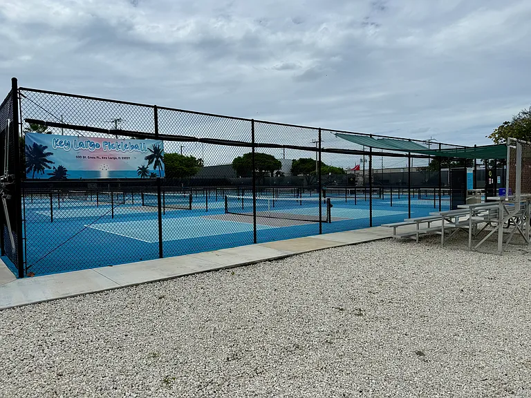 public pickleball court down the street
