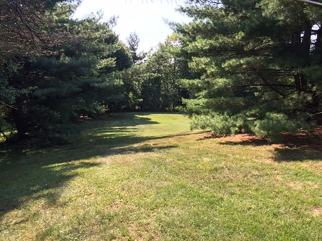 2nd image of 14 Cobbler Ln
