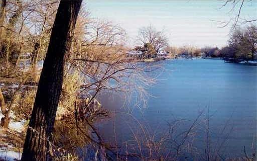 Looking down the lake in winter!  This can sometimes be a Winter Wonderland just outside your back door.