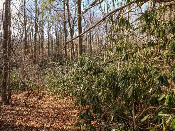 LOT 77 Brookside Ln, Fancy Gap, VA 24328