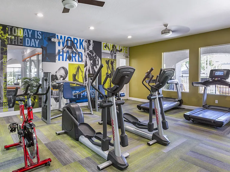 Experience our dynamic gym featuring state-of-the-art cardio equipment set against a vibrant mural backdrop