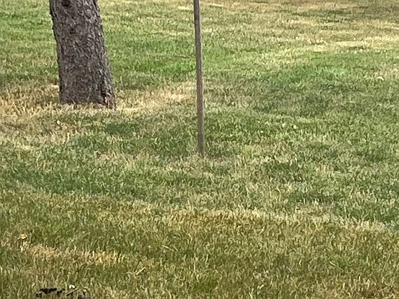 2nd image of W Maple St