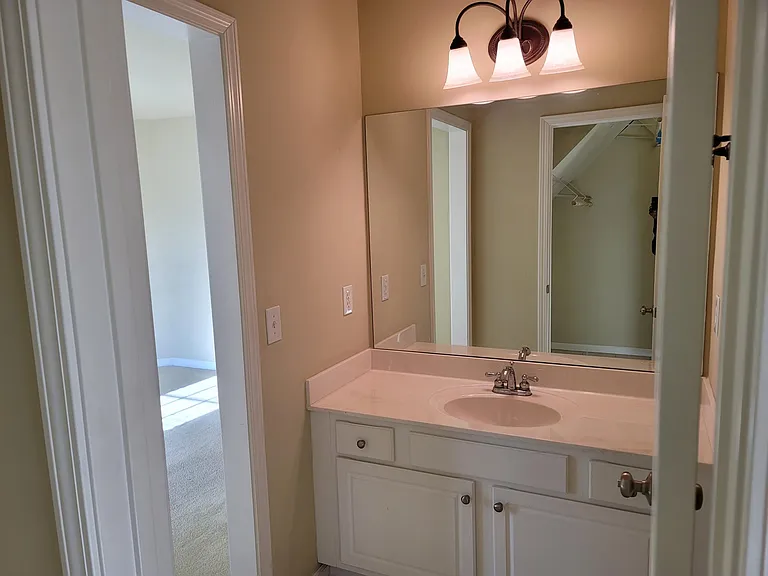 411 Wallis Farm Way — Photo 14