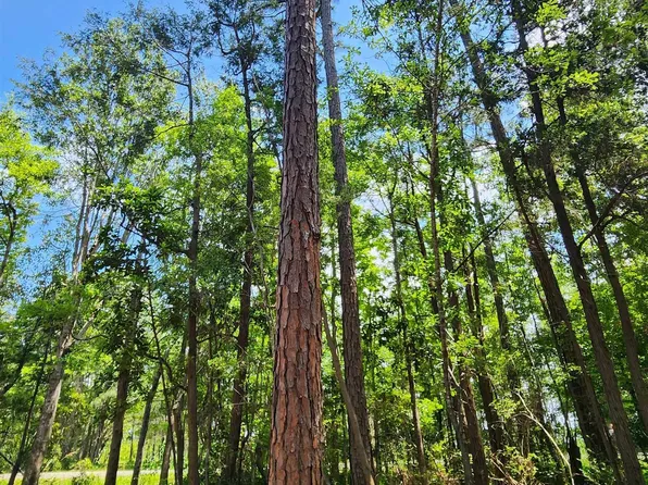 0 7th St Lot 7, Lillian, AL 36549