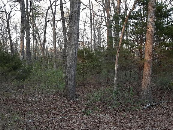 5th image of 1 Tract Krause Dr