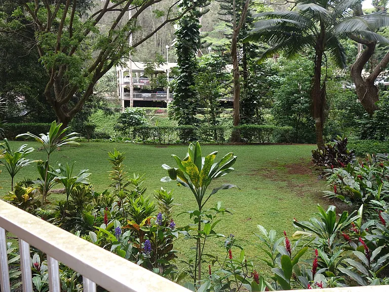 95-273 Waikalani Dr #D202 — Photo 34