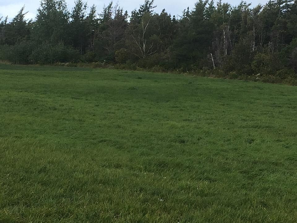 1st image of Barren Rd