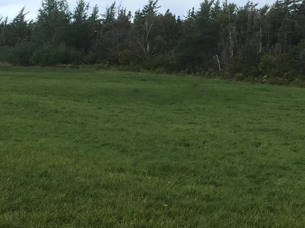 Barren Rd, Inverness, NS B0E 2Y0