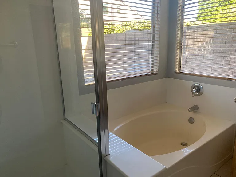 master bathroom garden tub and shower