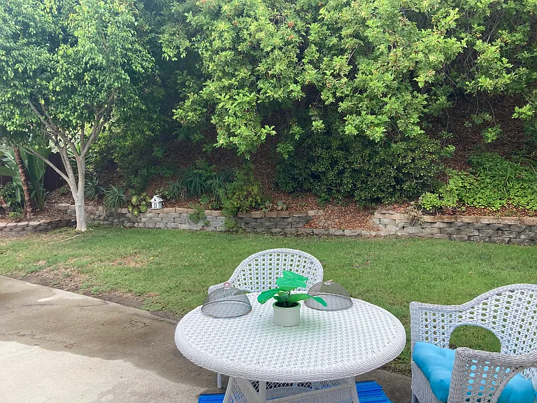 Private backyard