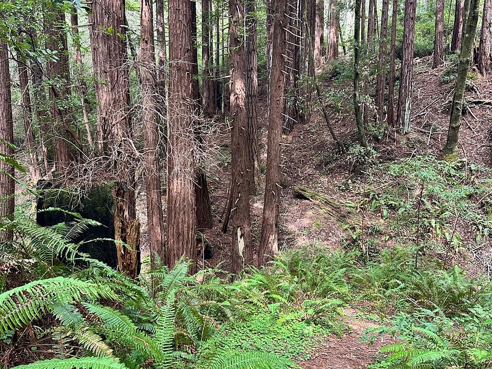 2nd image of 46320 Iversen Road