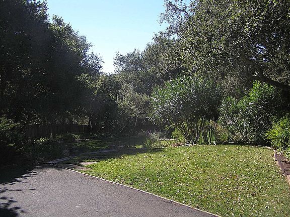 Upper lawn