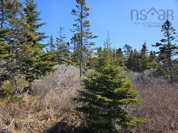 Highway 3, Lower East Pubnico, NS B0W 2A0