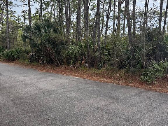4th image of 1443 Dove Ln