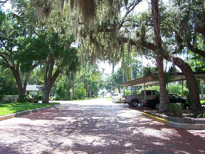 1st image of 1515 Bayshore Blvd APT 25