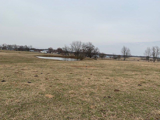 2nd image of Malone Rd