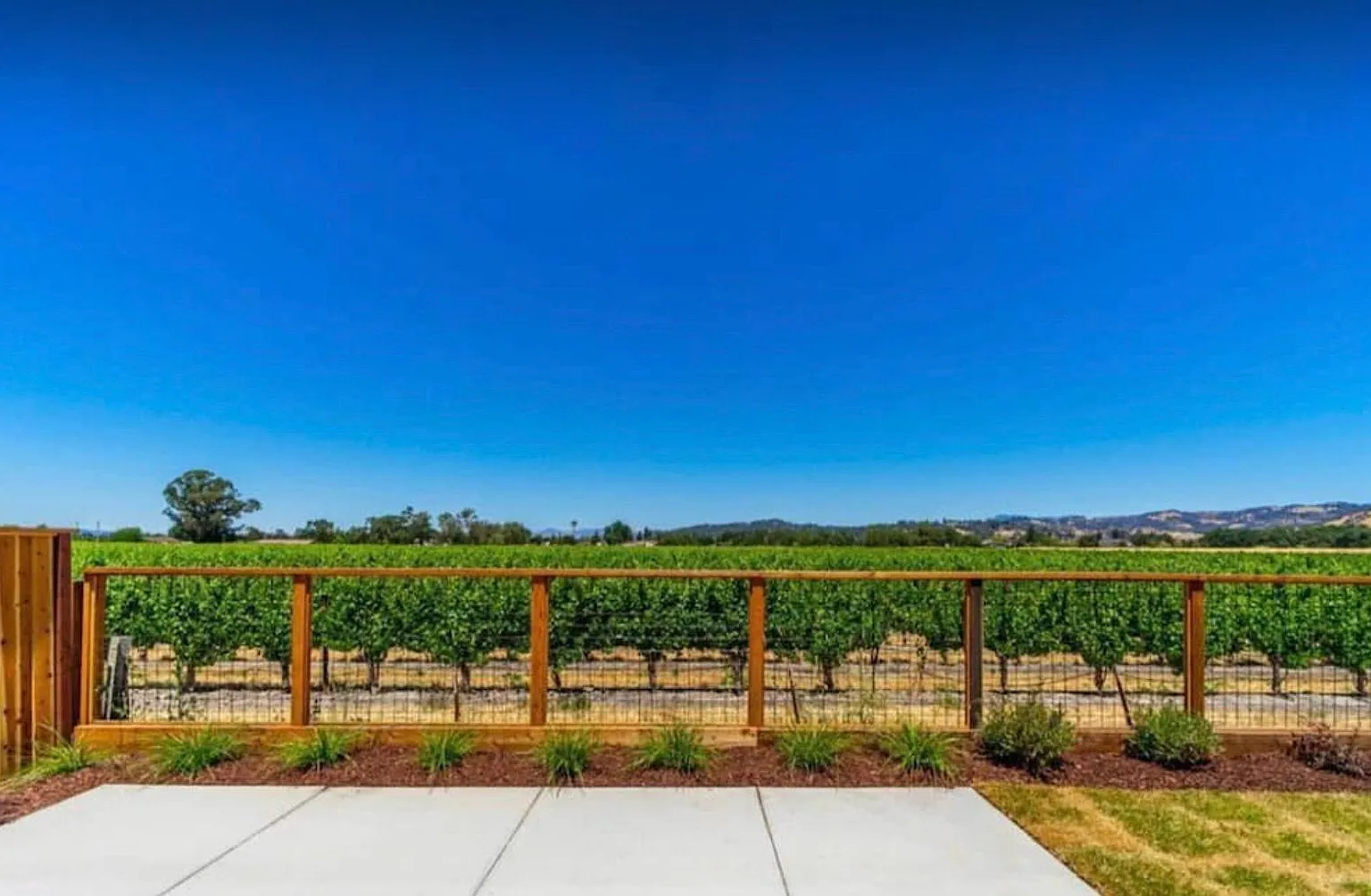 2117 Soleil Way — Photo 4