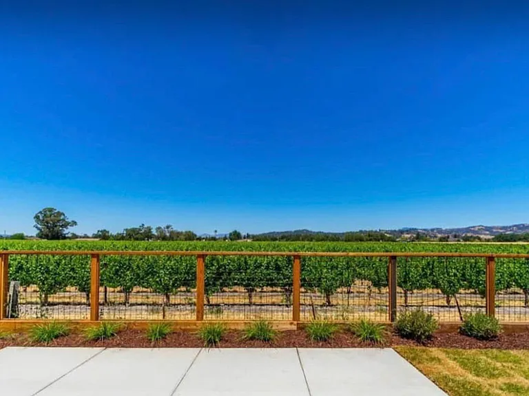 2117 Soleil Way — Photo 4