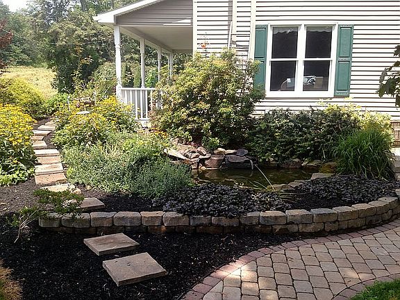 Koi Fish pond