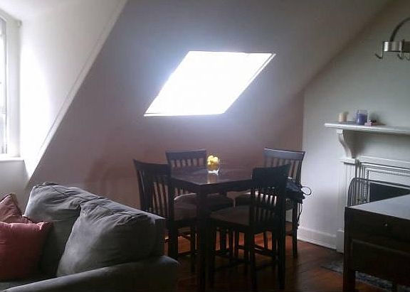 4th image of 704 S Washington Sq APT 4E