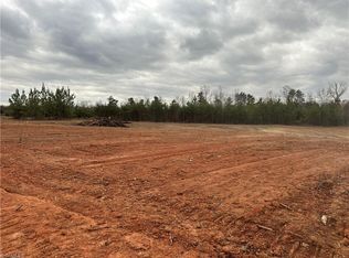 173 Briar Ridge Ln #29, Yanceyville, NC 27379