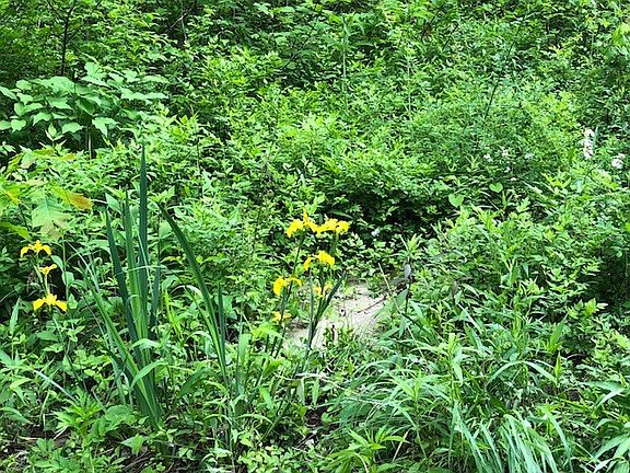5th image of 0 Peeks Creek Road