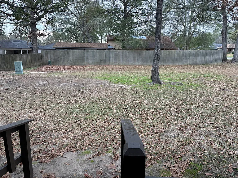 Backyard_01132026
