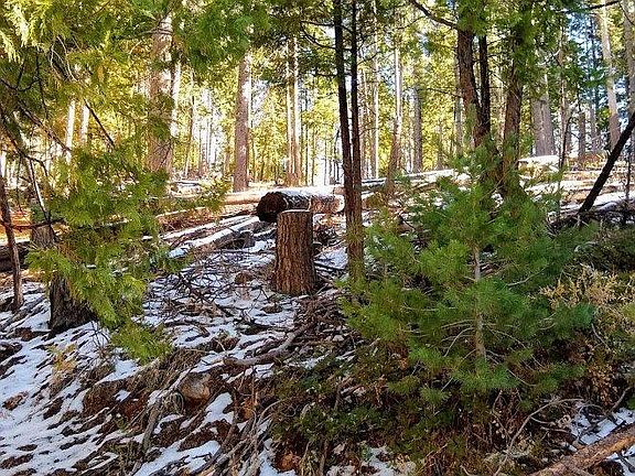 4th image of 23875 Pine Lake Dr
